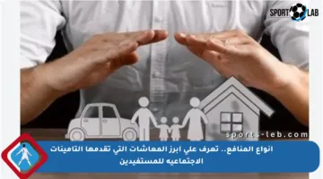 أنواع المنافع.. تعرف على أبرز المعاشات التي تقدمها التأمينات الاجتماعية للمستفيدين